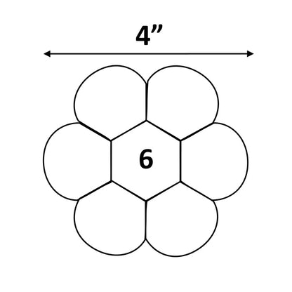 6 pet dresden small new title