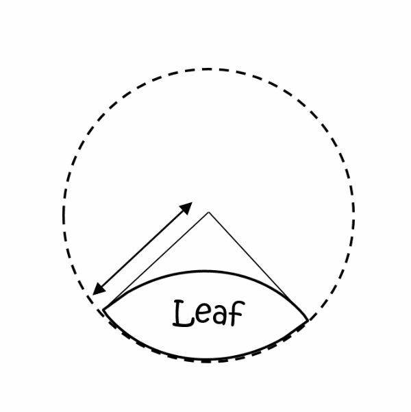 leaf5.jpg